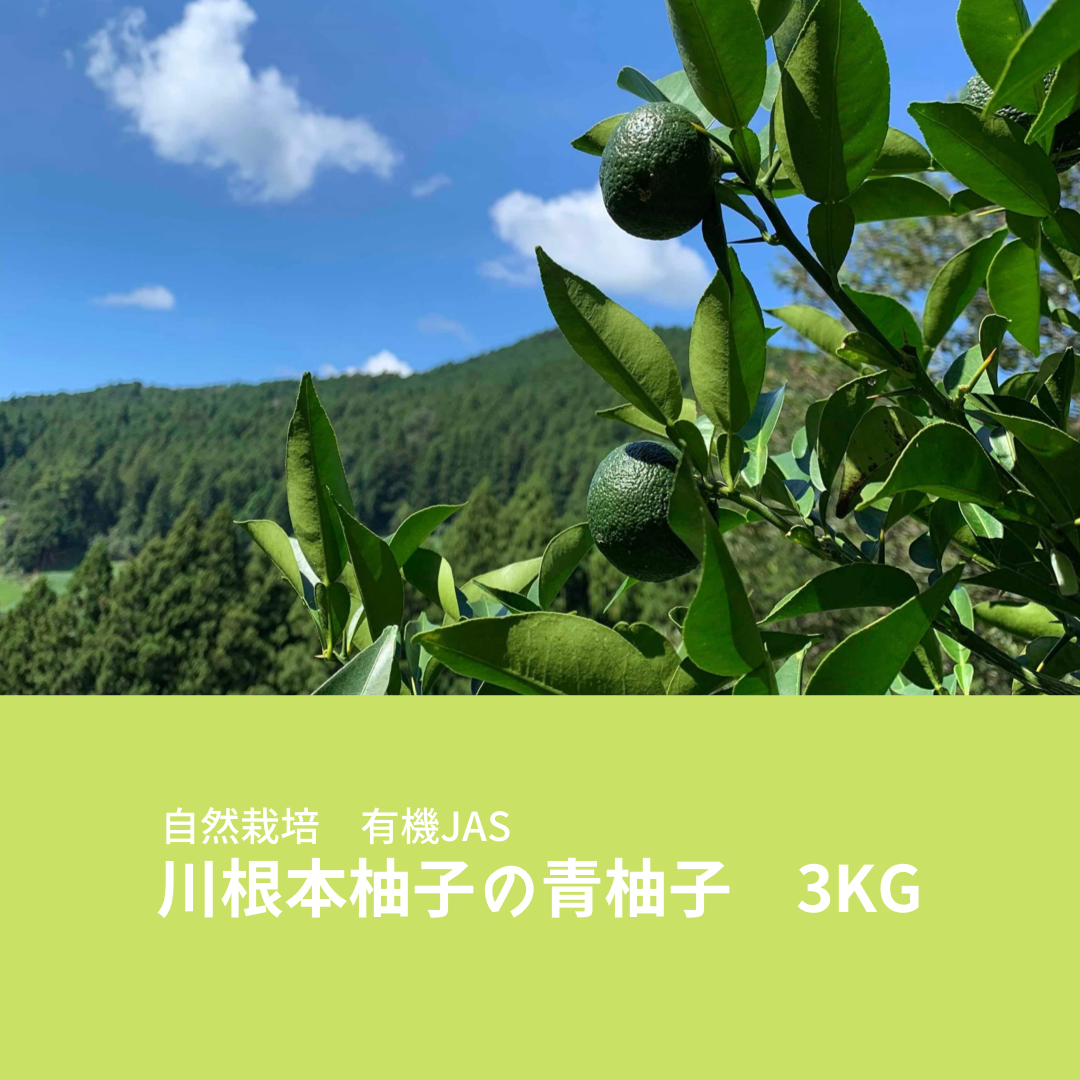 完全無農薬 本ゆず 青柚子 箱込み約5,5kg 完全無農薬 本ゆず 青柚子 箱込み約5,5kg ⏰7/14 0: