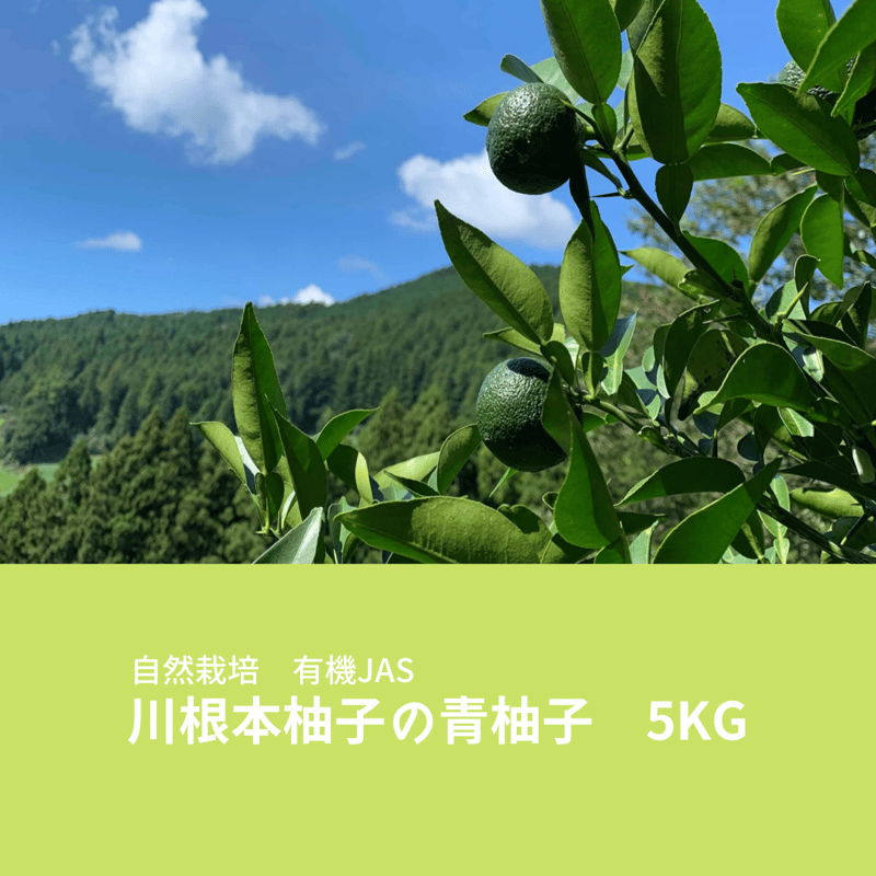 クール便】自然栽培 川根本柚子の青柚子 有機JAS 5kg | 自園自製 有機