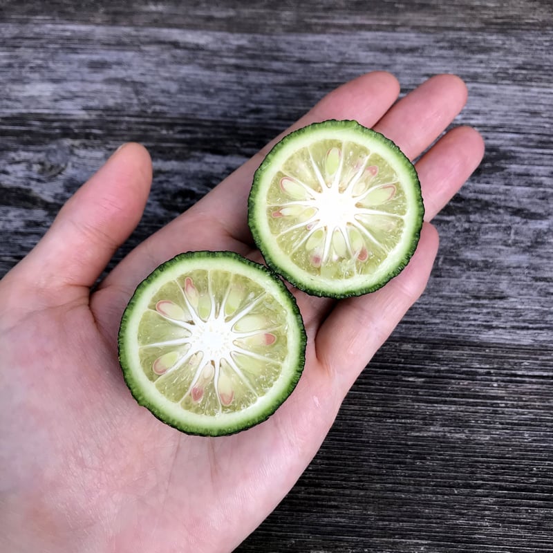 クール便】自然栽培 川根本柚子の青柚子 有機JAS 5kg | 自園自製 有機