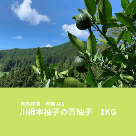 青唐辛子 | STORES