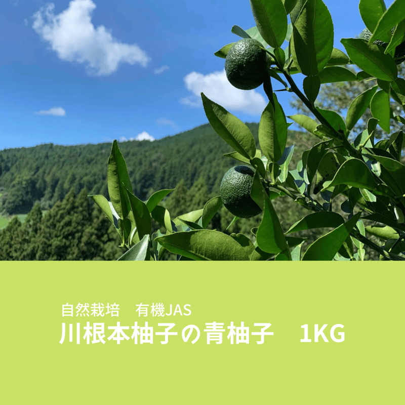 クール便】自然栽培 川根本柚子の青柚子 有機JAS 1kg | 自園自製 有機