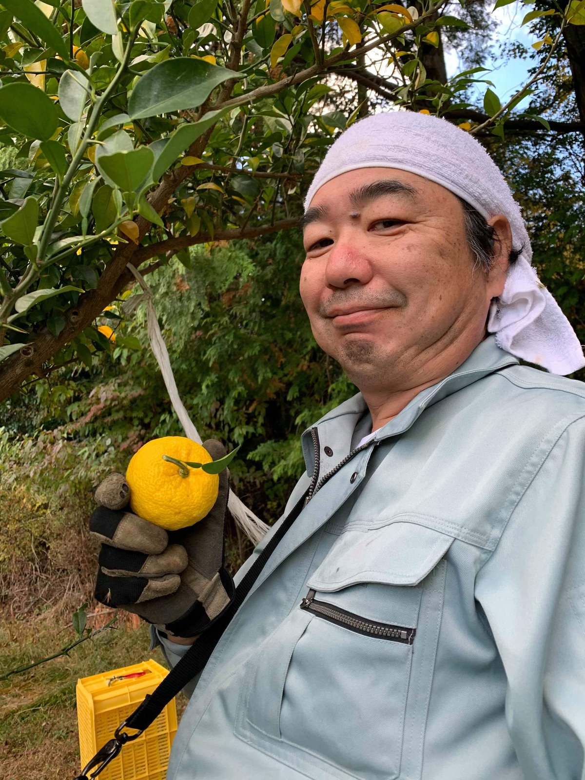 fit=scale-down,w=1200