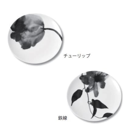 緒方 環 hakuji / 中皿