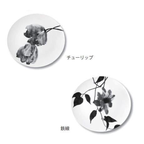 緒方 環 hakuji / 大皿