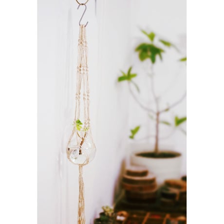 ＜準備中＞【 Atelier Lesson 仮予約申込 】 Macrame Hanging basic