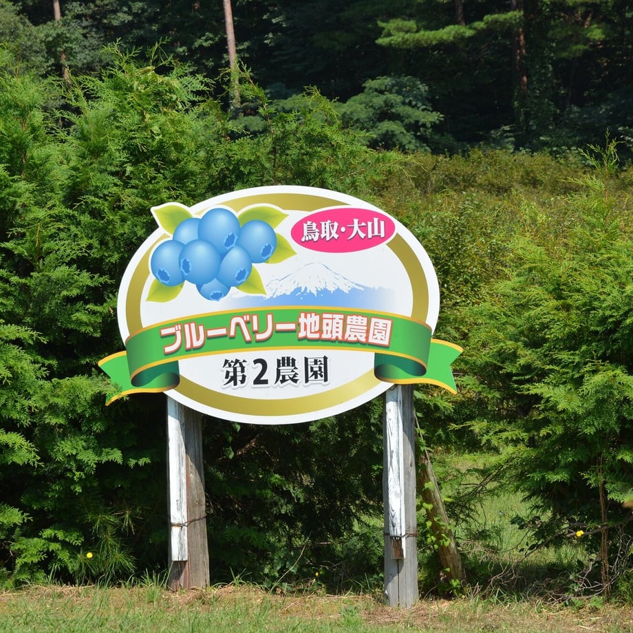 57356e9f41f8e8169f004bf6