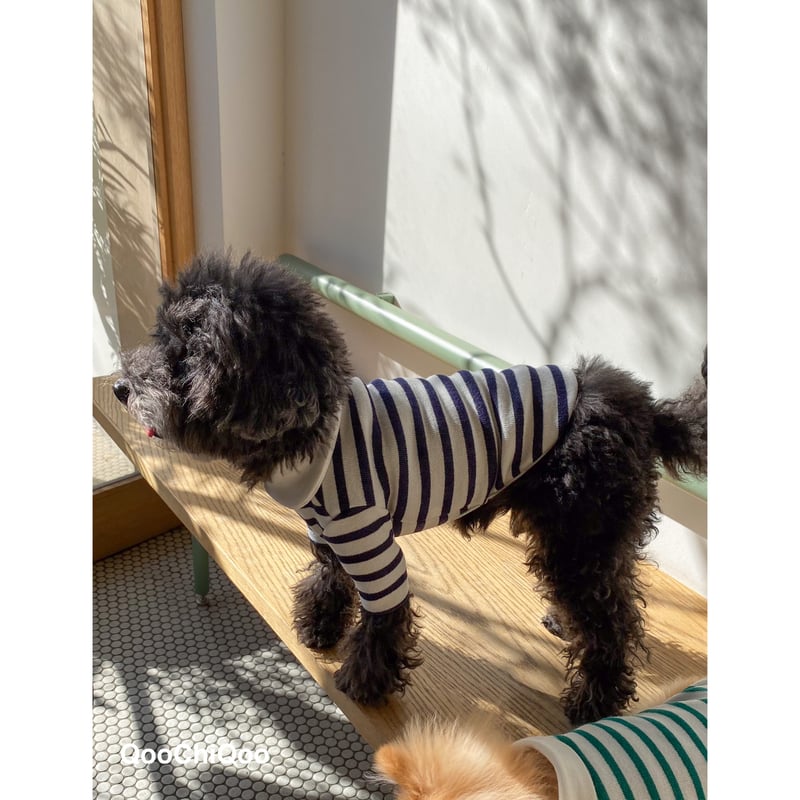 ラウンド襟ストライプ<ネイビー> | Qoo Chi Qoo