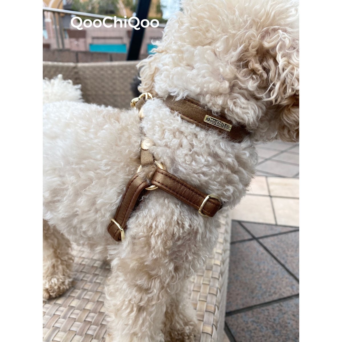 能登地震寄付　フランダースの犬　ブロンズ像 能登地震寄付 フランダースの犬 ブロンズ像