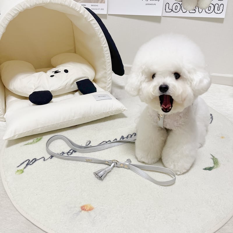 ぬいぐるみハーネス・オーダーページ（1700円〜 wxn01643-01.jpg