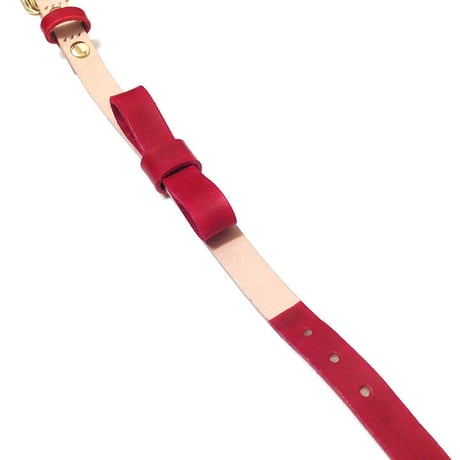 Red Ribbon Collar&Lead
