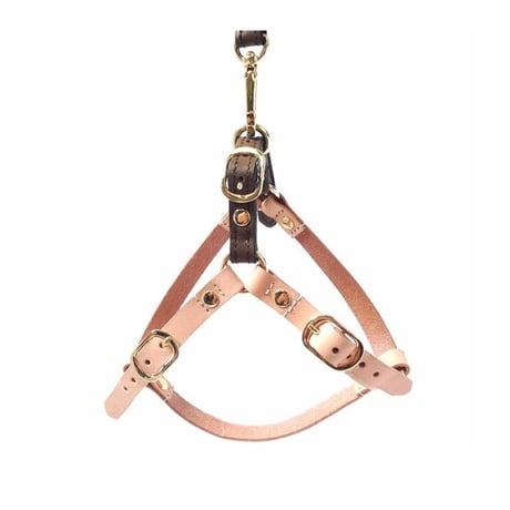 Brown Harness