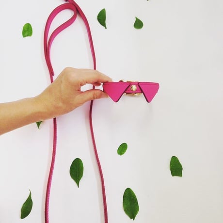 Pink Collar&Lead
