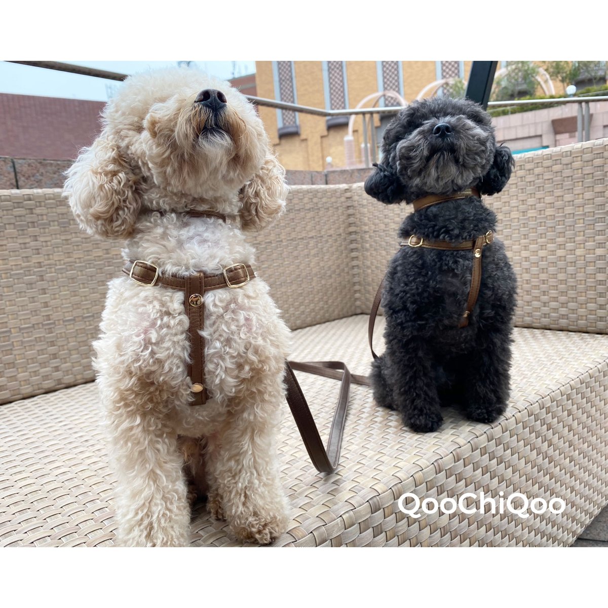 能登地震寄付　フランダースの犬　ブロンズ像 能登地震寄付 フランダースの犬 ブロンズ像 - メルカリ