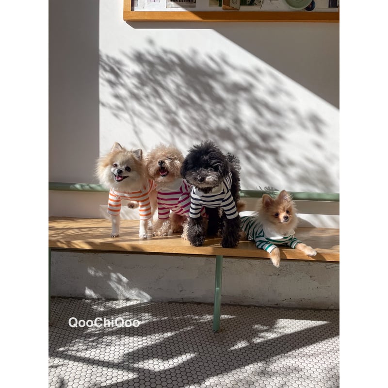 ラウンド襟ストライプ<グリーン> | Qoo Chi Qoo