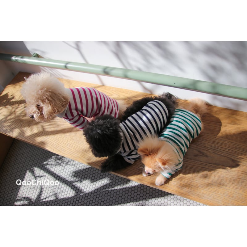 G-G ストライプ犬服 C'est si bon. G-G ストライプ犬服 C'est si bon. G-G ストライプ犬服 C'est si bon.