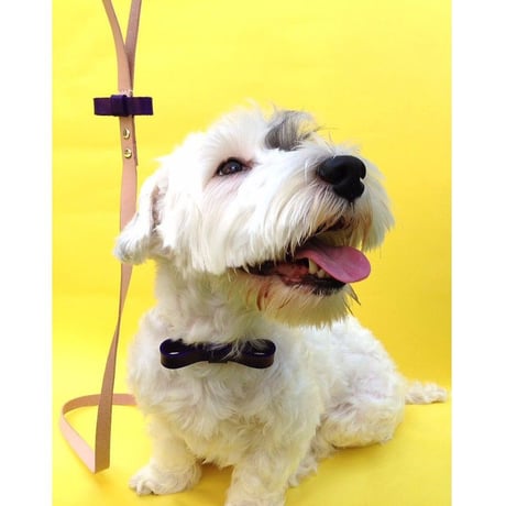 Purple Ribbon Collar&Lead