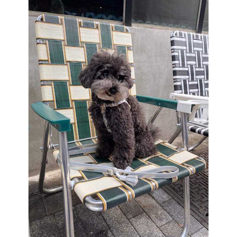 ilfelino イルフェリーノ ハーネス ハーフレギンス フリーサイズ 体に優しいシリーズ】ハーネス イエロー / Explore harness