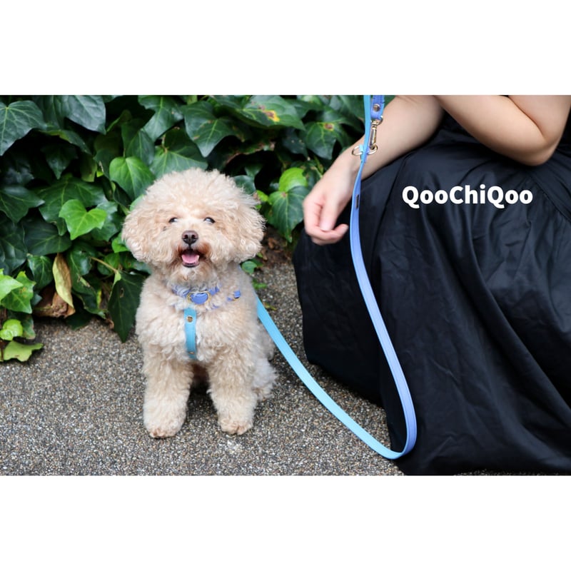 マルチカラーハーネス(ラベンダー&スカイブルー) | Qoo Chi Qoo