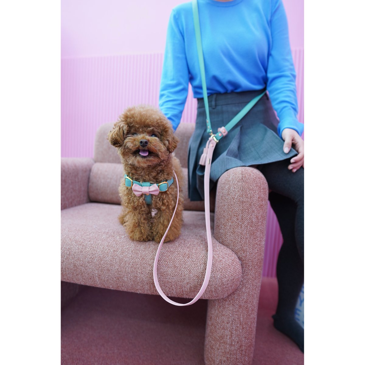 アラン&アロ•コラボ】リボンハーネス(ミントグリーンとベイビーピンク