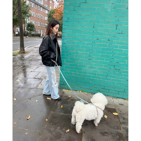 [London]ノッティングヒルグロー・3wayリード