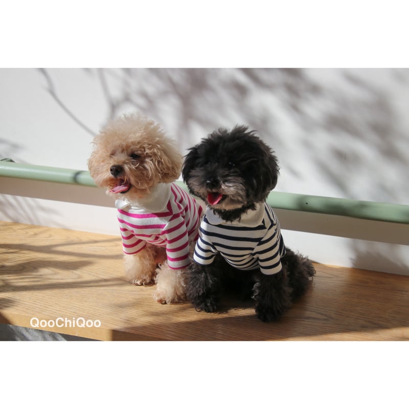 サマーストライプ(青)わんちゃん猫ちゃん用シャツ襟首輪 サマーストライプ(青)わんちゃん猫ちゃん用シャツ襟首輪