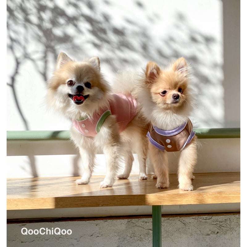 Colour トリオ <ピンク> | Qoo Chi Qoo