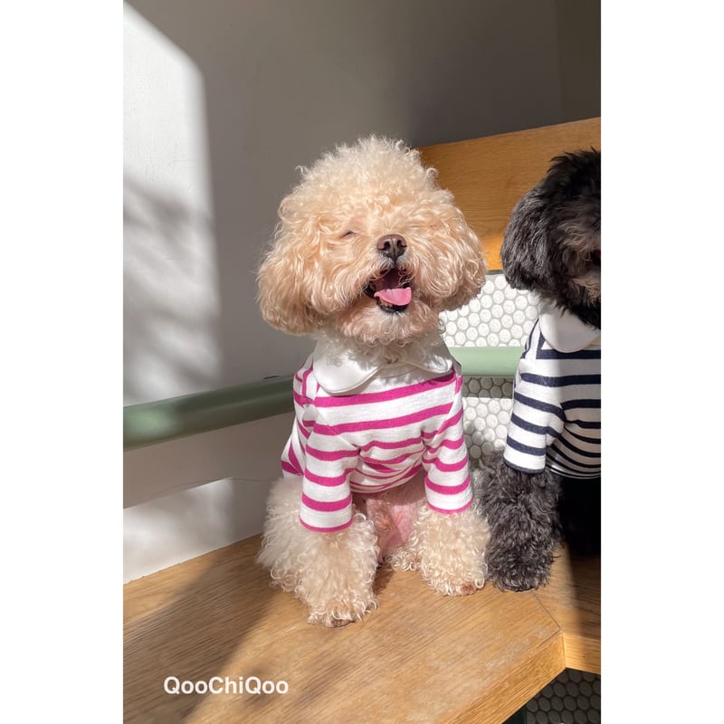 ラウンド襟ストライプ<ピンク> | Qoo Chi Qoo