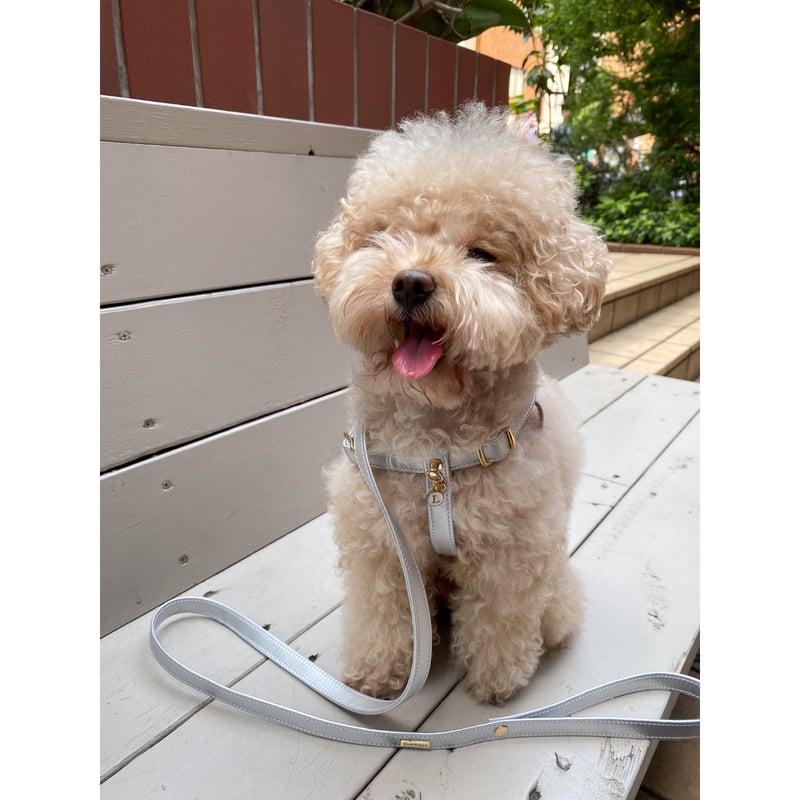 ilfelino イルフェリーノ ハーネス ハーフレギンス フリーサイズ Amazon | Perfect Fit Harness パーフェクトフィットハーネス S