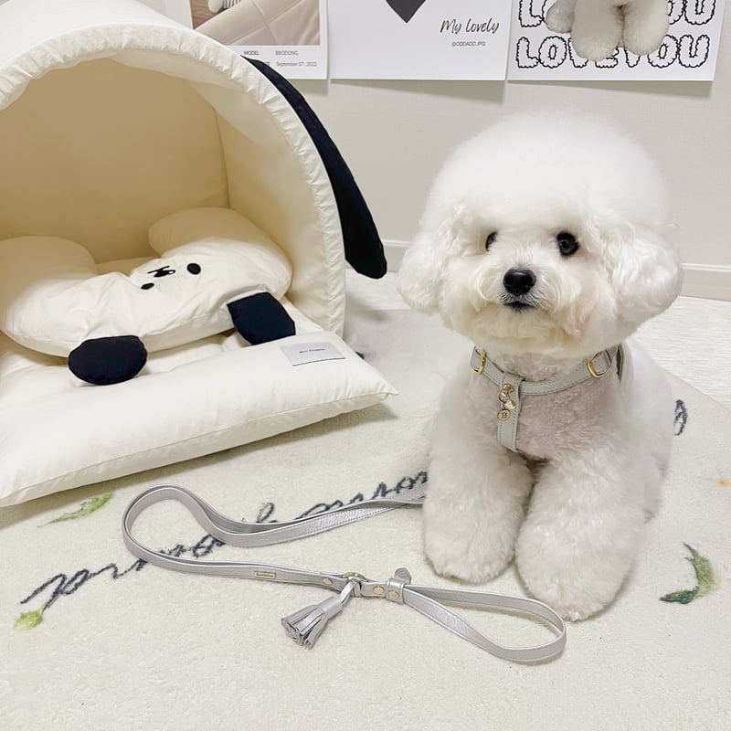 ilfelino イルフェリーノ ハーネス ハーフレギンス フリーサイズ イニシャルーハーネス[シルバー] | Qoo Chi Qoo