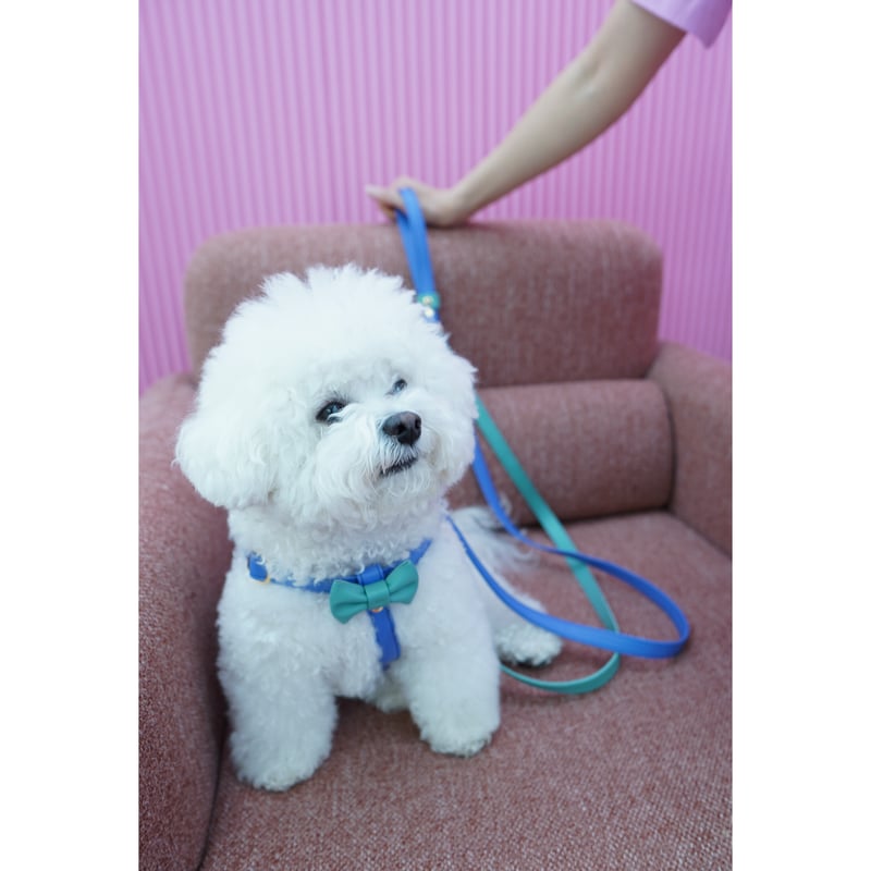 アラン&アロ•コラボ】リボンハーネス(ラベンダーとミントグリーン