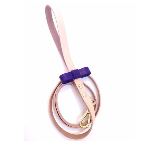 Purple Ribbon Collar&Lead