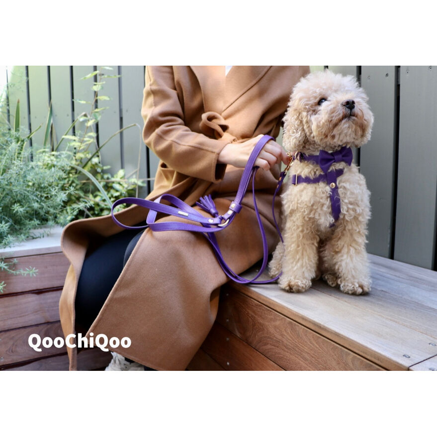 ハーネス(パープル) | Qoo Chi Qoo