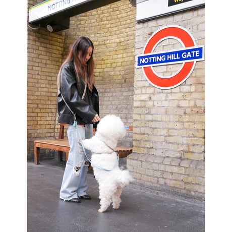[London]ノッティングヒルグロー・3wayリード