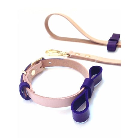 Purple Ribbon Collar&Lead
