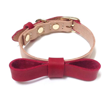 Red Ribbon Collar&Lead