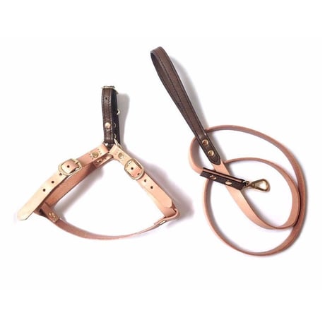 Brown Harness