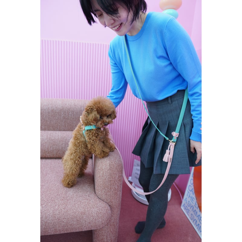 アラン&アロ•コラボ】リボンハーネス(ミントグリーンとベイビーピンク