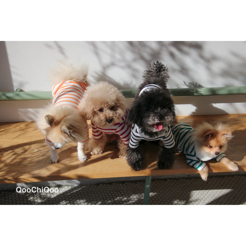 新品 グッチ ストロベリー ビッグストライプ ドッグ Tシャツ ドッグウェア L 楽天市場】GUCCI グッチ ビッグストライプ ボーダー ストロベリー