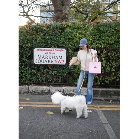[London]メイフェアパウズ・3wayリード
