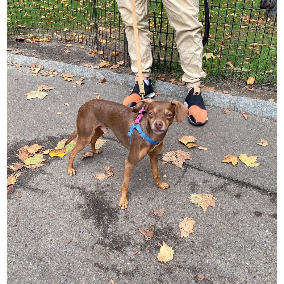 66ac9bbc6754880582daed70