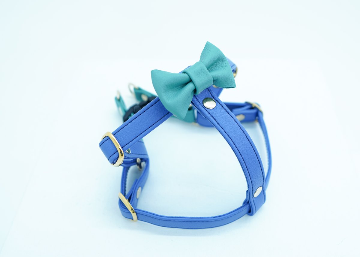 アラン&アロ•コラボ】リボンハーネス(ラベンダーとミントグリーン