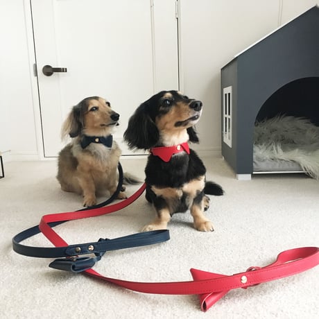 Navy collar&lead set