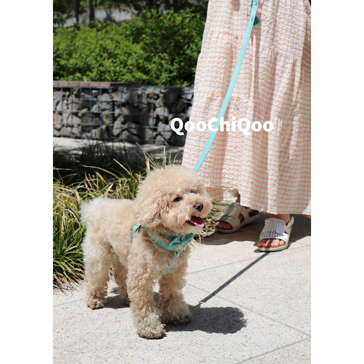 ハーネス(ミントグリーン) | Qoo Chi Qoo