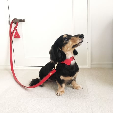 Red collar&lead set