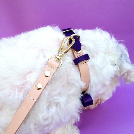 Purple Ribbon Collar&Lead