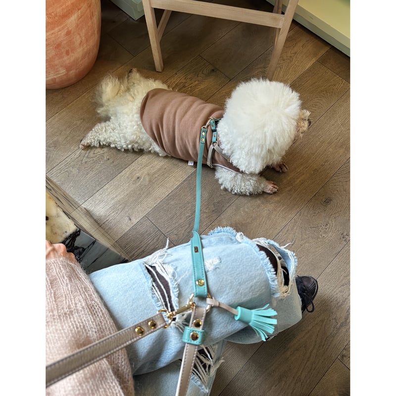 鳥籠クリノリンハーネス『愛執』 鳥籠クリノリンハーネス『愛執』 | Otori.