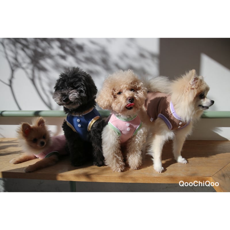 犬服♡マロン Colour トリオ <マロン> | Qoo Chi Qoo