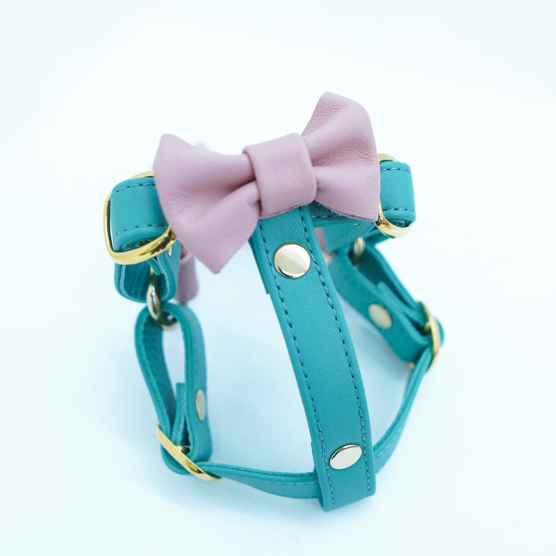 アラン&アロ•コラボ】リボンハーネス(ミントグリーンとベイビーピンク