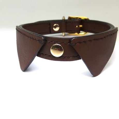Brown  Collar&Lead