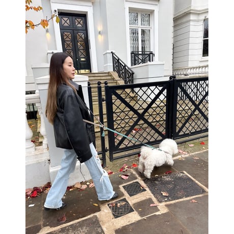 [London]ノッティングヒルグロー・3wayリード